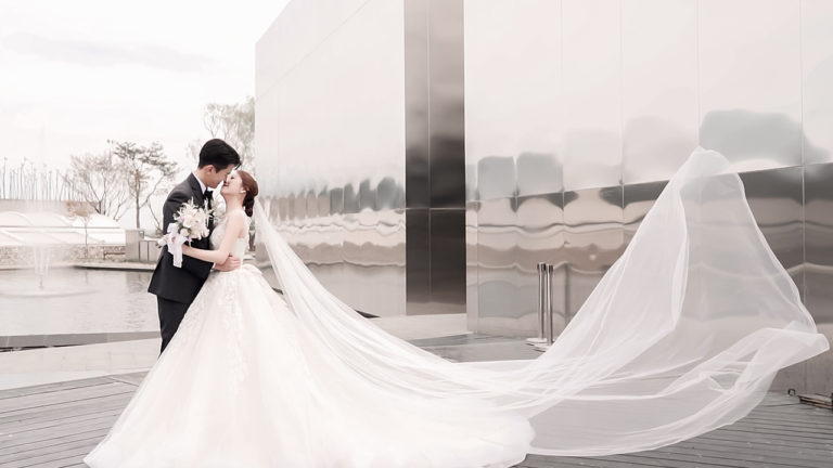 본식영상, 본식DVD